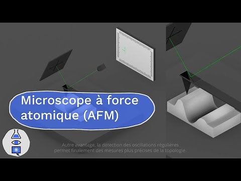 Animations sur les microscopes : Microscope à force atomique AFM