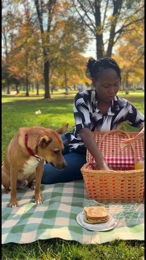 1.8K views · 15 reactions | Come let me teach you how to make Ai videos for a token but only iPhone users | Bose Ozohu Momohjimoh | Facebook