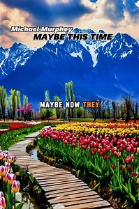MAYBE THIS TIME - MICHAEL MURPHY | LYRICS #lyricsvideo #songlyrics #lovesongs #musicvideo #fypシ゚ | Heartfelt Lyrics