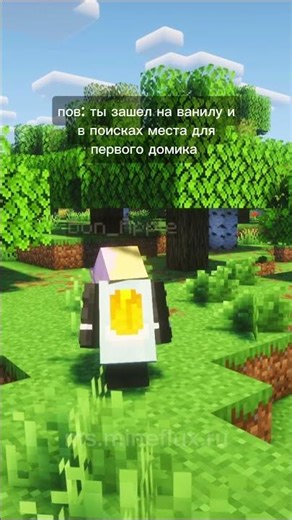 Какой биом обычно выбираете? #vanilla #майнкрафт #свойсервермайнкрафт #minecraft #майнкрафтвыживание