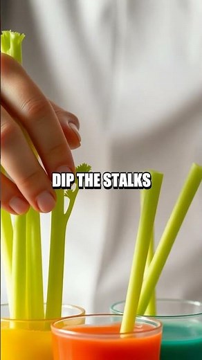 Capillary Jump: How Water Climbs Plants