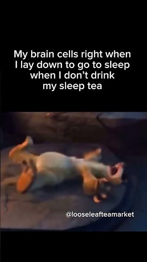 Sleep Tea for Insomnia 🌙🫖