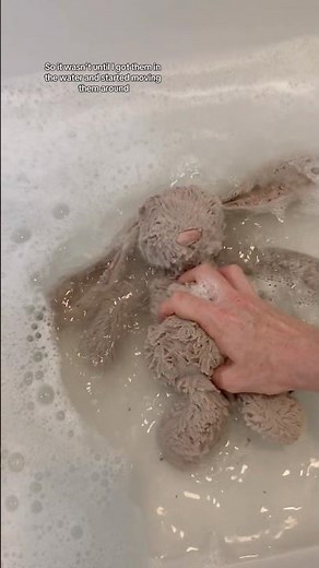 Let’s clean and restore this extremely dirty jellycat bashful bunny #jellycat #restoration #plush