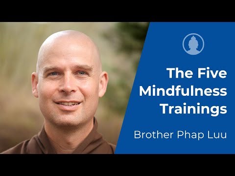 Guided Meditation on the Five Mindfulness Trainings - Brother Phap Luu