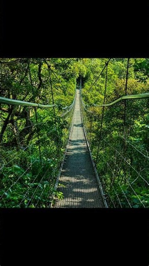 Hanging Bridges • Waterfall • Volcanic Mud • Hot Springs