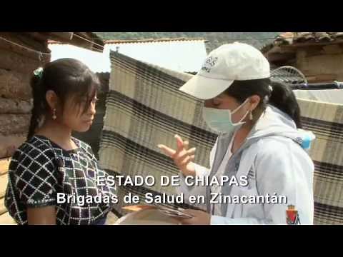 Pandemia H1N1 2009, México