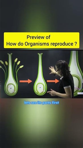 How Animals (and Plants!) Really Reproduce 🧬 #biology #science
