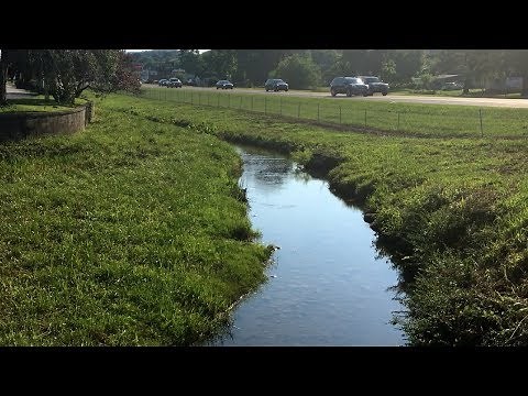 Finding Big Bass in Small Roadside Creek