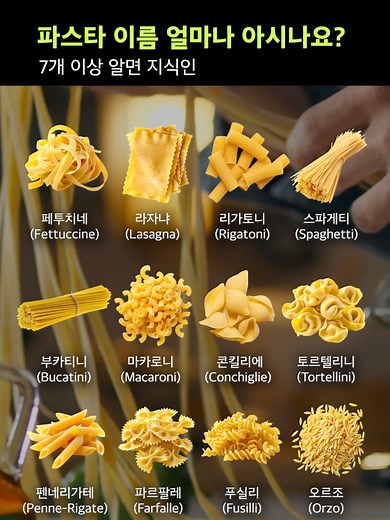 다양한 파스타 종류와 이름 알아보기