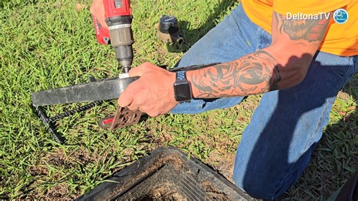 Find out the latest buzz in this week's City Manager Report.🐝 | City of Deltona, Florida