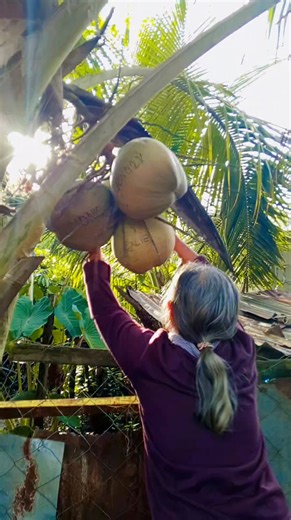 #everyoneシ゚ #teamsherlyau #morning #morningvibes | Excie Liwanan Nabio