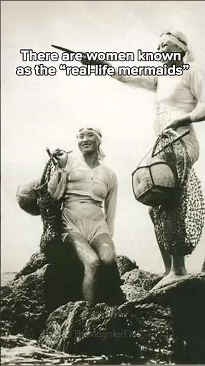 The Real Life Mermaids #Shorts #History #Mystery