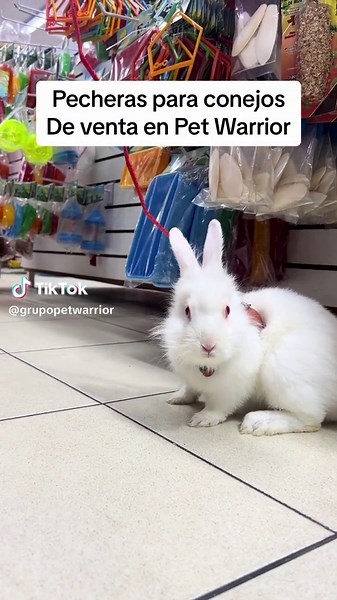 Tiendas de mascotas Pet Warrior en CDMX