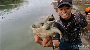 Soft Shell Turtle Catch and Cook Harabas | Catch and Cook | Harabas