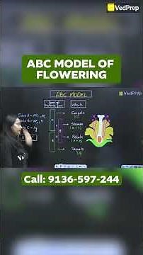 ABC Model of Flowering Explained | Easy Explanation for Biology Students | VedPrep Biology Academy