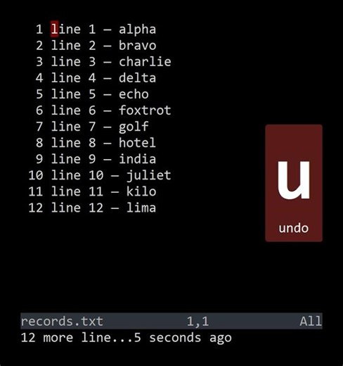 VimFu — The Entire File %