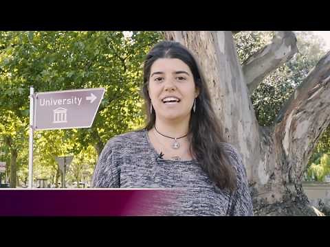 Explore study opportunities at Stellenbosch University