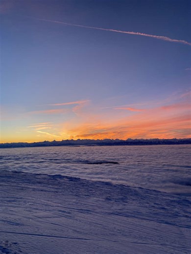 do it alone. #penguin #switzerland #mountain #snow #motivation