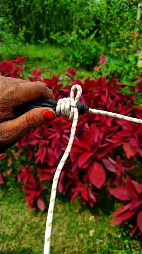 Pro-Level Rope Skills 🧠