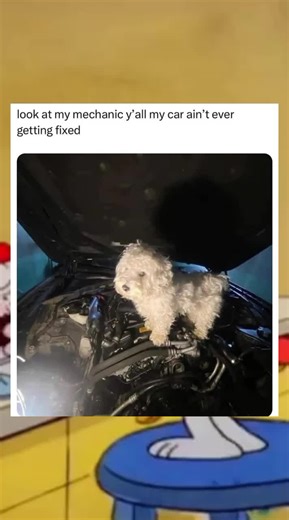 Snoopy Memes on TikTok