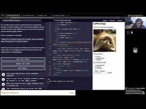 Agregando checkbox en HTML - FreeCodeCamp en Español