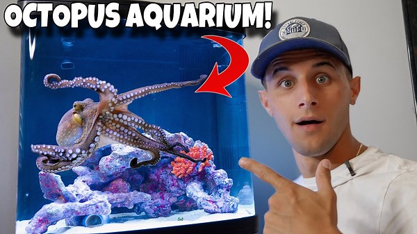 I built a mesmerizing octopus aquarium! 🐙
