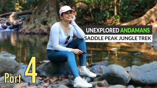 Saddle Peak Jungle Trek – The Andamans’ Highest Summit: Is It Worth It?