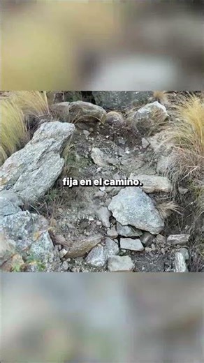 Enduring the toughest part of the journey. Eagle Head Stone, Merlo, San Luis.