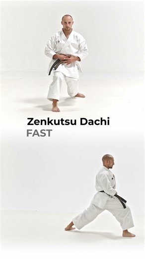 Zenkutsu Dachi Fast