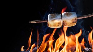 How to roast the perfect marshmallows