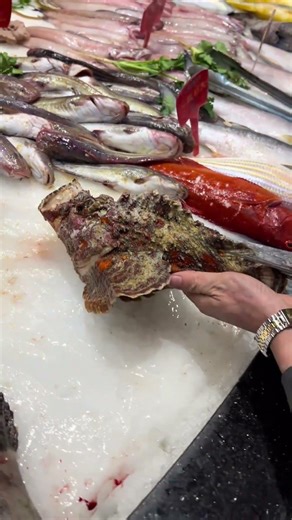 😱 Stonefish – The Most Dangerous Hidden Fish in the Ocean 🌊🐟#viral #fishing