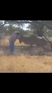 Man vs Kudu👀 Great capture! Well done to this guy! Follow @killshot.hunting | KillShot Hunting