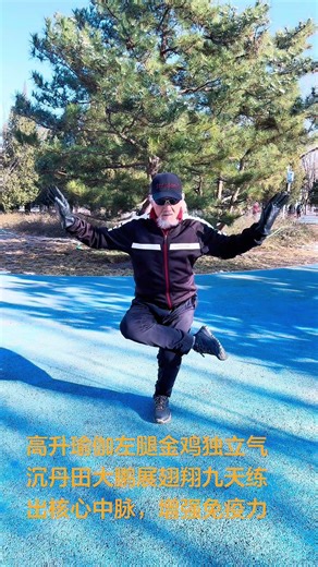 高升瑜伽左腿金鸡独立大鹏展翅｜Rising Yoga Left Leg Golden Rooster with Great Peng Wings #guanshifu #healthyaging
