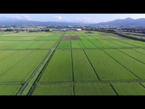 【絶景空撮】庄内平野～鶴岡 Aerial Shoot DJI Phantom3 Professional
