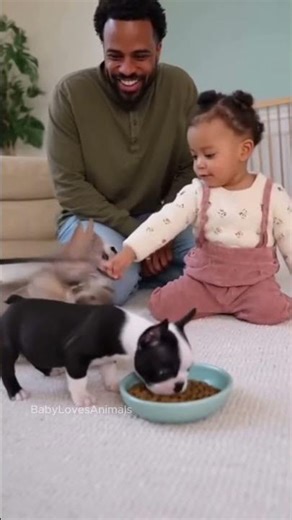 Baby Girl Directs Puppies Like a Pro 🐾💖 #cutepuppy #familyshorts – creatively crafted