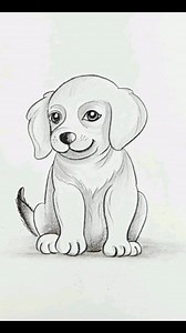 Easy and simple drawing ideas | A Dog #drawing #pencilsketch | Drawing Book