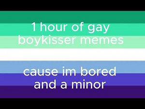 1 hour of boykisser memes