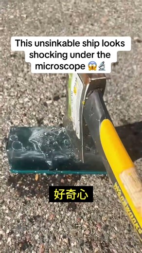 「沈まない船」の中身とは？顕微鏡で見た驚きの真実！