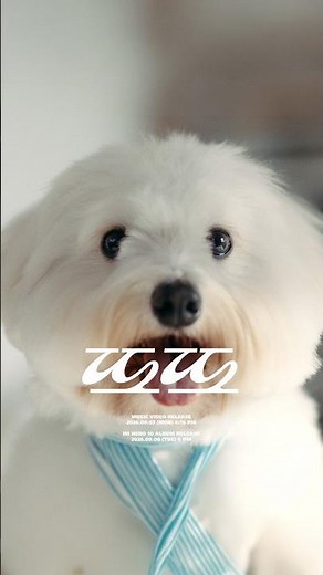 IM HERO 10 ‘Ddo-Ddo’ M/V Teaser 01 💬 Try making a Short with Ddo-Ddo!