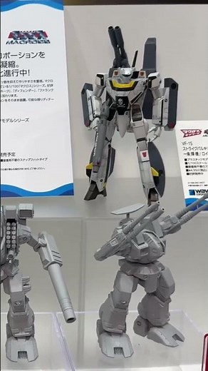 Super Dimension Fortress Macross: Do You Remember Love? Super Valkyrie, Lynn Minmei, and more, Ma...