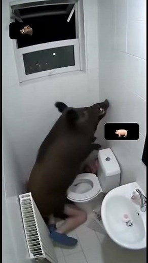 Nowadays, we are not safe anywhere😔