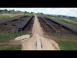 Livestock Cable Shade Structure Protecting Cattle