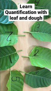 Learn Number Quantification with dough and leaf. #mathskills #numbers #learningnumbers #quantify