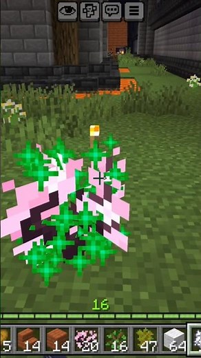 How to Grow a Tree FAST Using Bone Meal in Minecraft! 🌳⚡