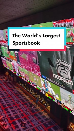 If you’re a sports lover, you can’t miss this! Whether you prefer to stay indoors or enjoy the fall weather outside, @CircaLasVegas has the perfect viewing experience. #VegasTikTok #LasVegas #StadiumSwim #VegasSportsbook
