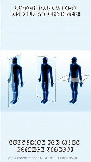 The Sagittal Plane | Human Anatomy |