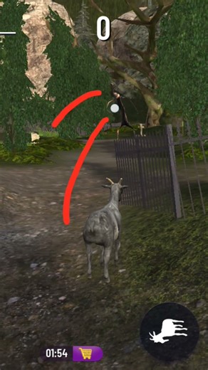 how to find slender goat