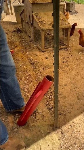 How to remove T-post/ Removing t-post using t-post driver/ easy wat to remove T-post #removing #tips