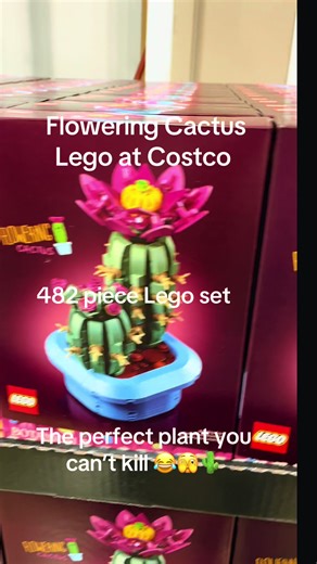 Costco finds : Flowering Cactus Lego at @Costco Wholesale The perfect plant you can’t kill 🤣🫣🌵#cactuslego #costcofinds #plantlover #fyp #legotiktok