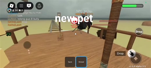 Discovering a New Pet in Roblox Games